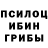 Псилоцибиновые грибы Psilocybe Jyzz